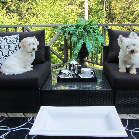 Meet your Posher, Sylvia Thanks for "Shopping By"! - Picture 3 of 6